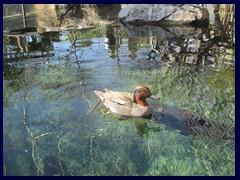 L'Oceanogràfic Oceanarium 100